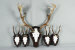 Lot: 222